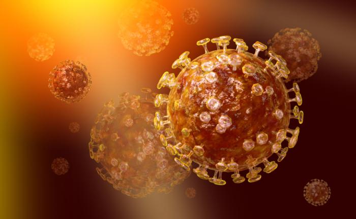 Types of Coronavirus Explained