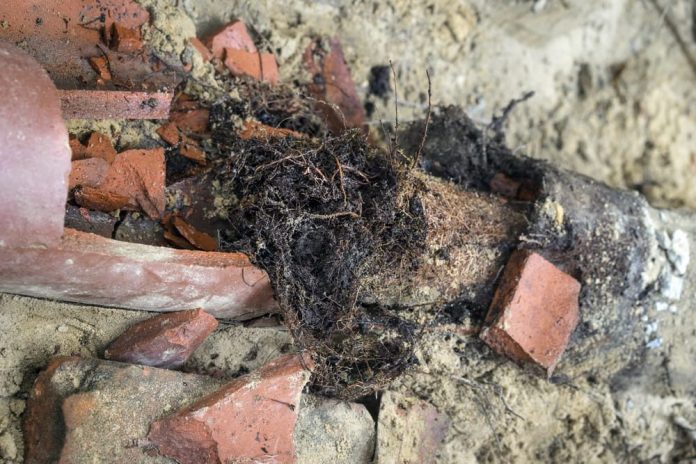Causes Blocked Drains in Sydney