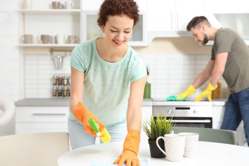 Cleaning Your House Cleaning Your House