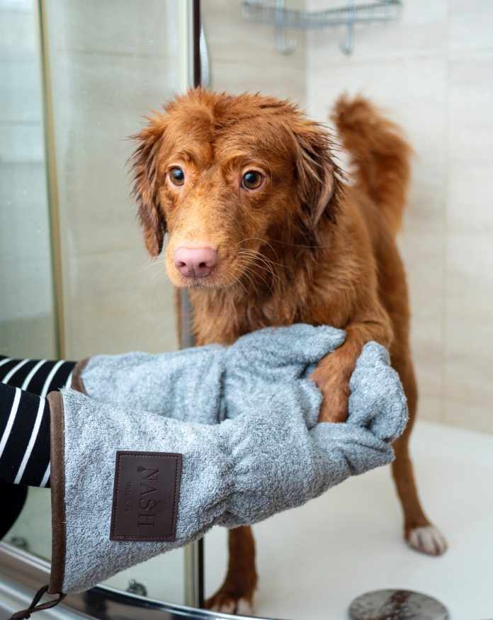 jamie-street-ikv10lHZUas-unsplash Basic Grooming Tutorial