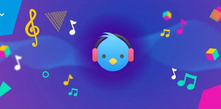 Lark Player Pro Apk