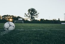 Reasons Everyone Loves Soccer