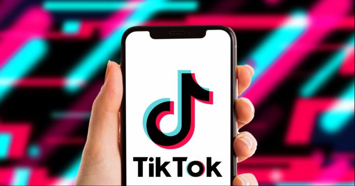 best tiktok video downloader