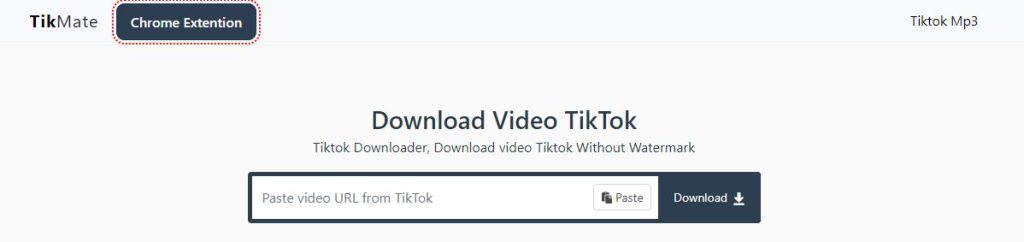 best tiktok video downloader