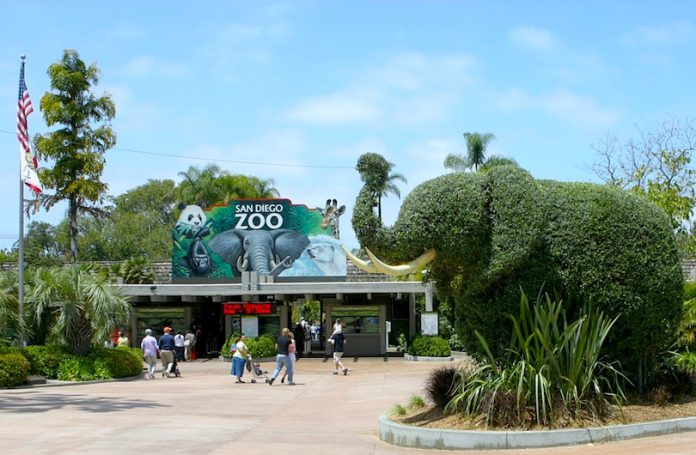 Largest Zoo In The United States Largest Zoo In The United States