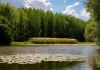 How is technology supporting the regeneration of our ecosystem? ecosystem