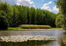 How is technology supporting the regeneration of our ecosystem? ecosystem